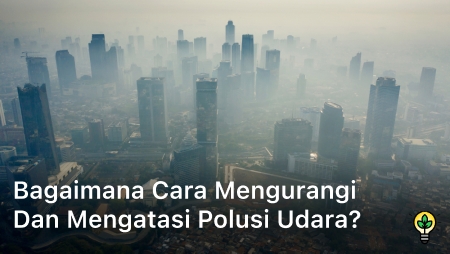 Mengatasi polusi udara