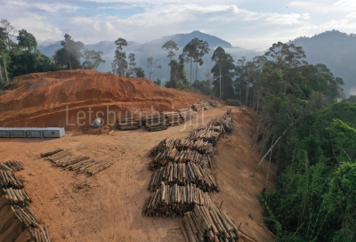akibat penebangan hutan liar dan tidak terkontrol